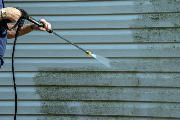 Best Roof Power Washing Services  in Kihei, HI